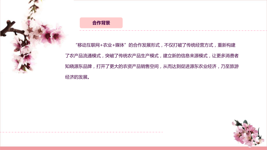 助农合作方案ppt课件_第2页