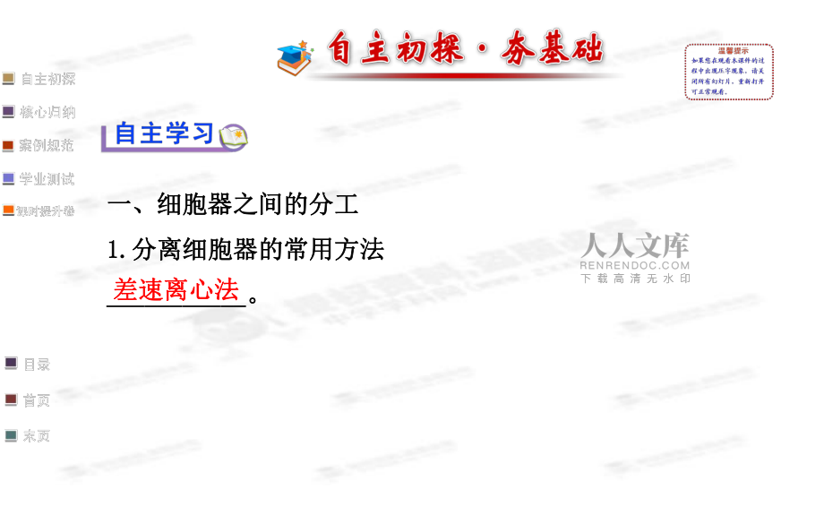 第节时细胞器之间的分工_第2页
