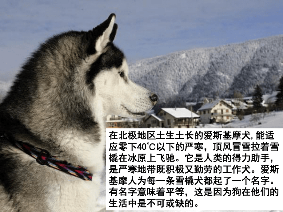 鄂教版六年級語文_浮冰上_第2頁