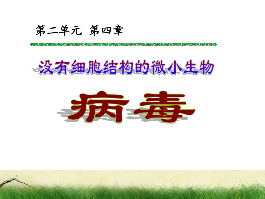 初中生物病毒課件_第2頁