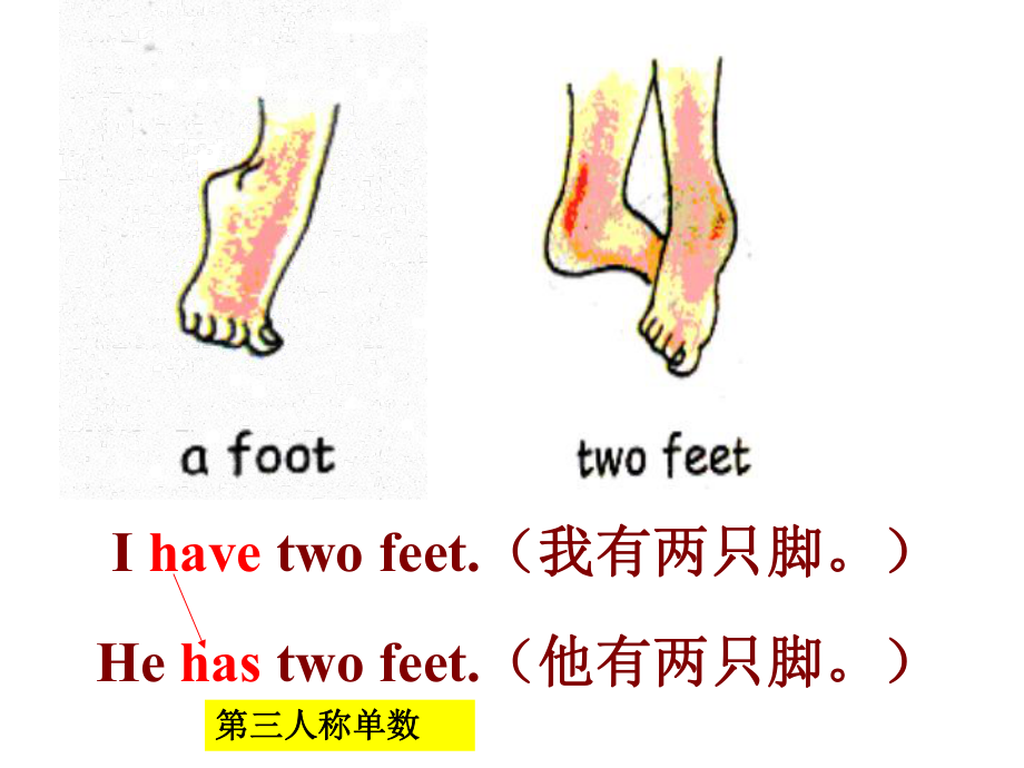 新湘少版英语四年级下册unit10第一课时He_has_two_feet_第4页