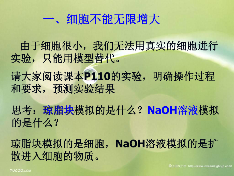 细胞的增殖(一)ppt_第5页