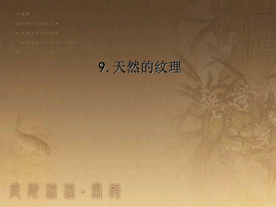 三年级美术上册 第9课 天然的纹理课件2 新人教版(1)_第1页