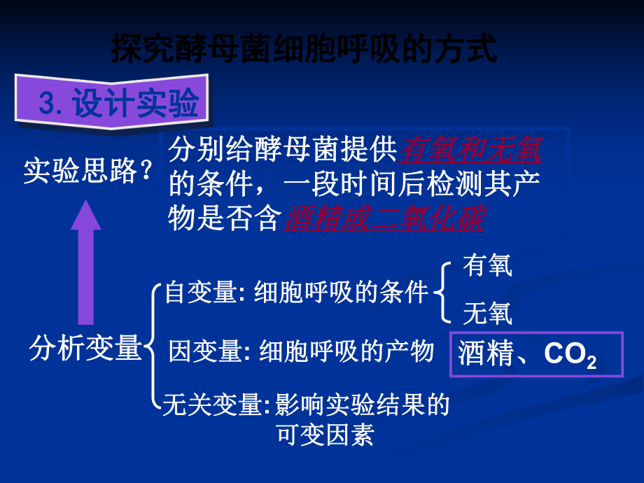 lhq探究酵母菌呼吸方式_第4頁