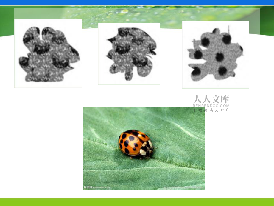 抽象图编码 分类_第2页