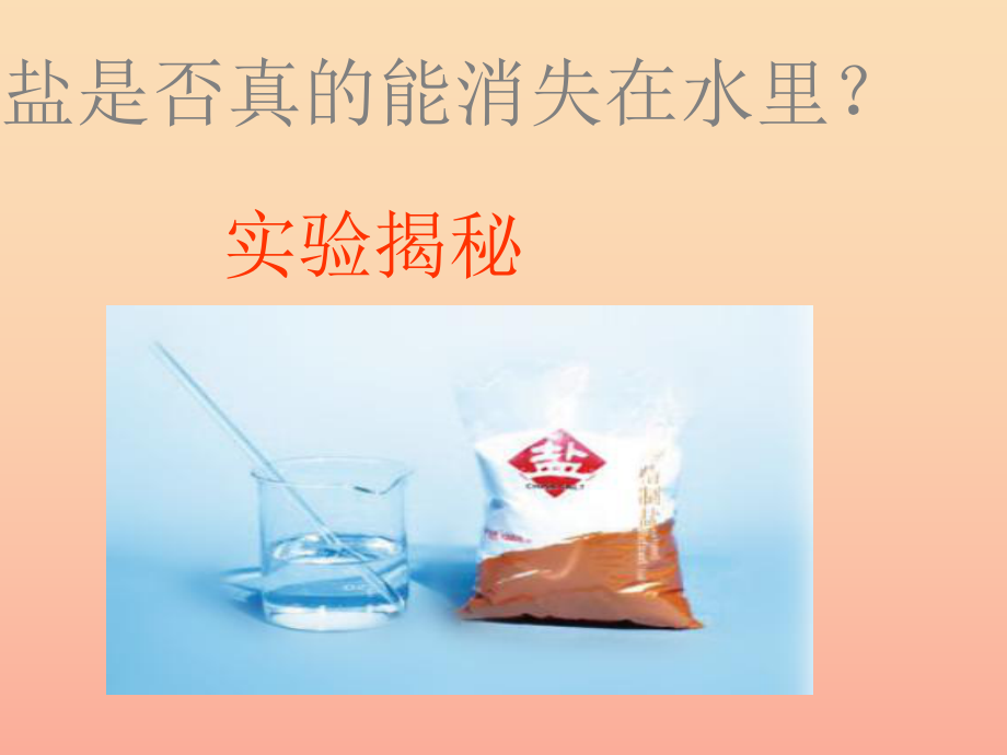 春三年级科学下册 4.1《把盐藏起来》1 大象版_第5页