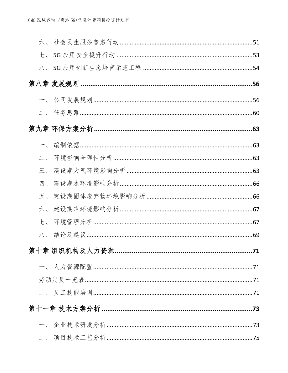 商洛5G+信息消费项目投资计划书(参考模板)_第5页
