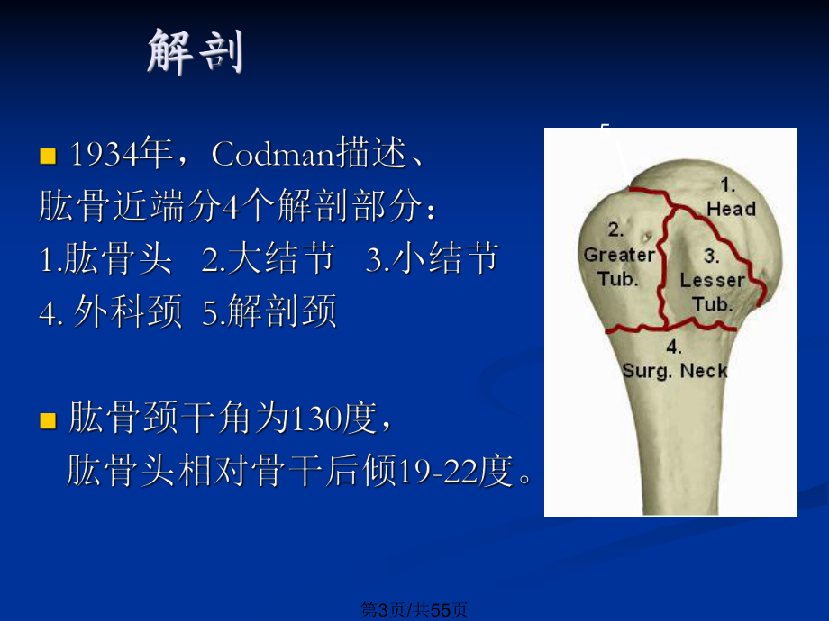 肱骨近段骨折的治療進展徐祝軍_第3頁