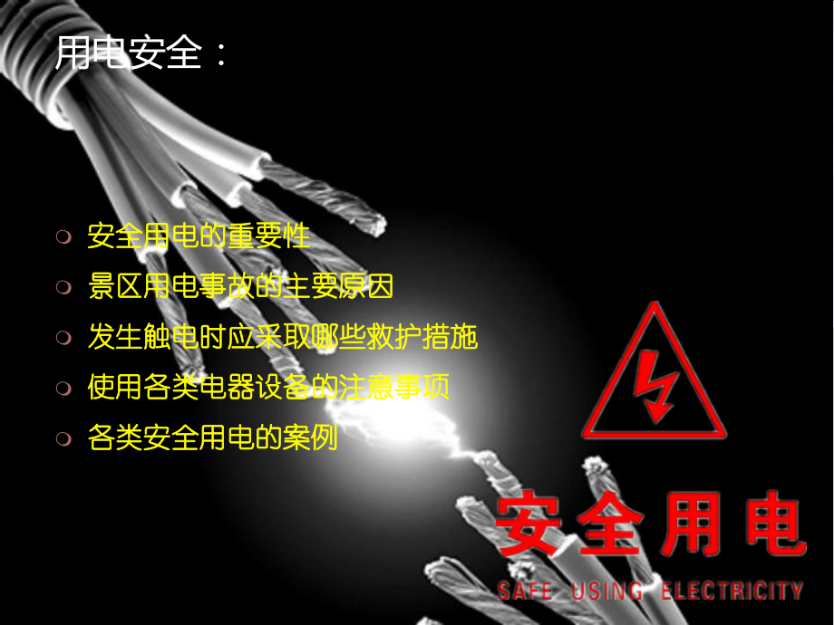 景区设备使用维护安全培训(电工)_第2页