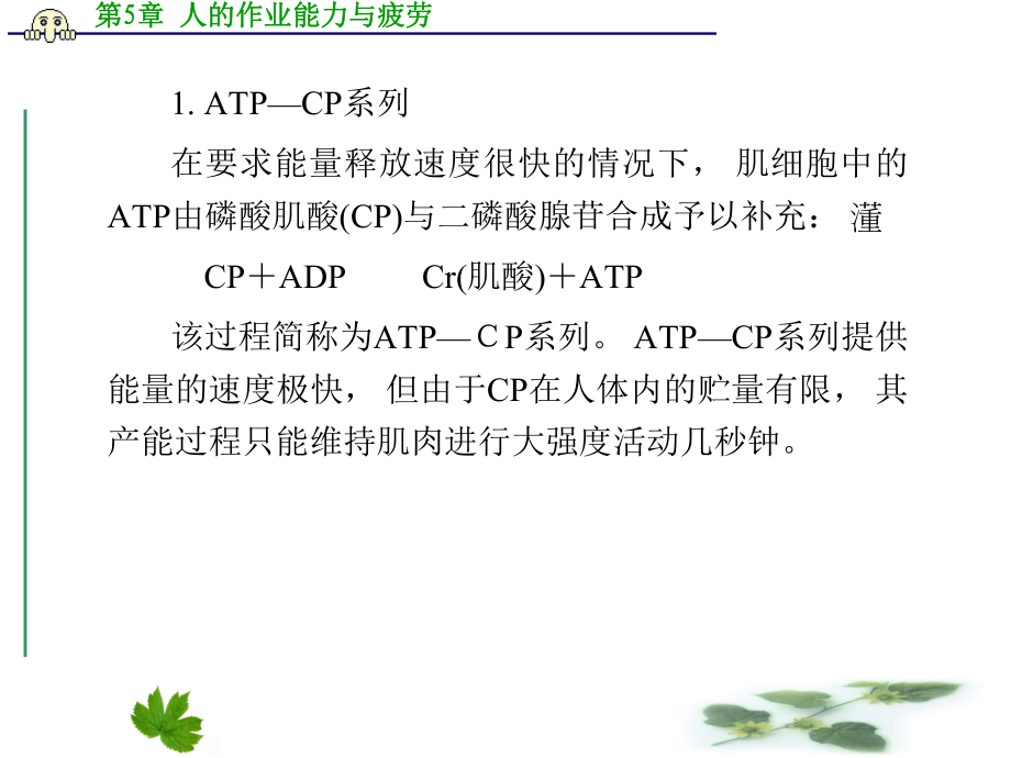 《人机工程学》第5章人的作业能力与疲劳_第3页