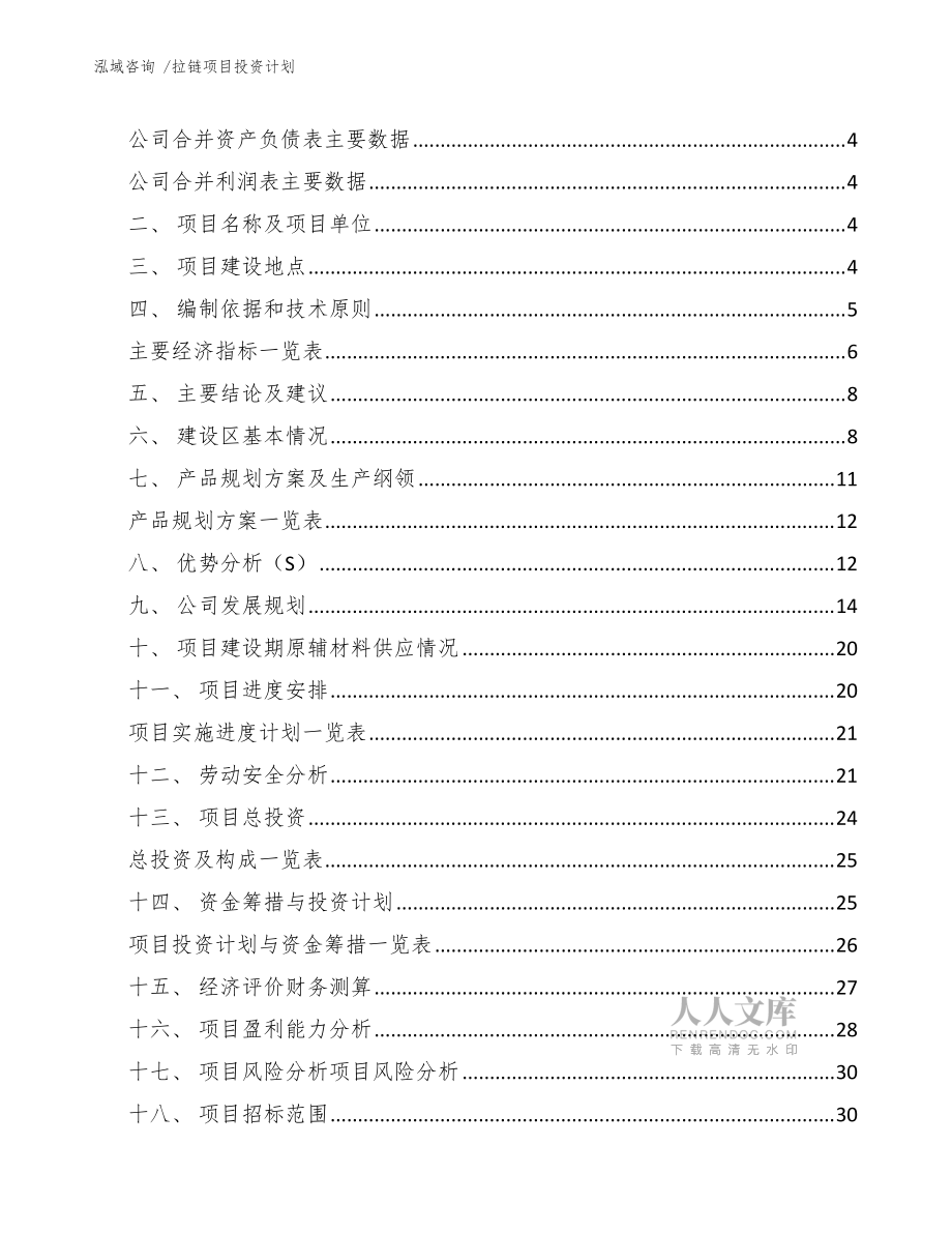 拉链项目投资计划(范文模板)_第2页