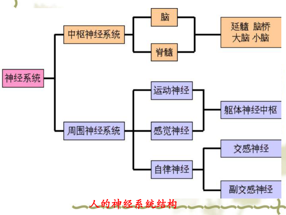 人的知覺感覺與環(huán)境ppt課件_第3頁