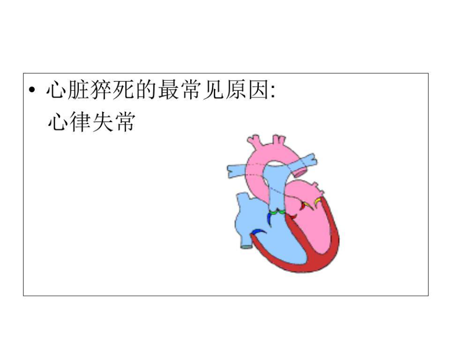 心律失常的风险评估与应对措施.ppt_第3页