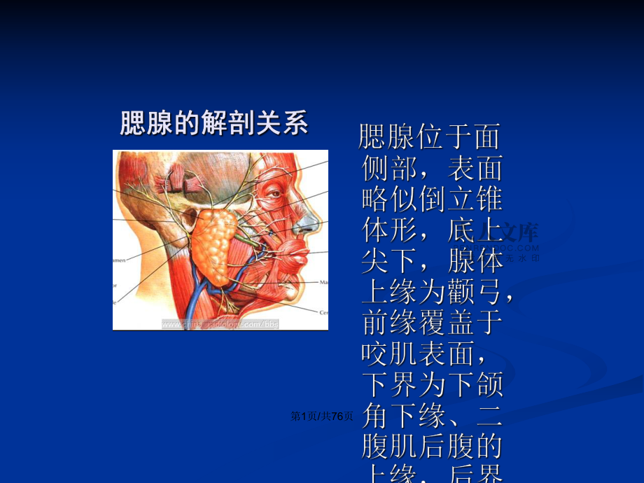 腮腺肿瘤的诊断与治疗PPT学习教案_第2页
