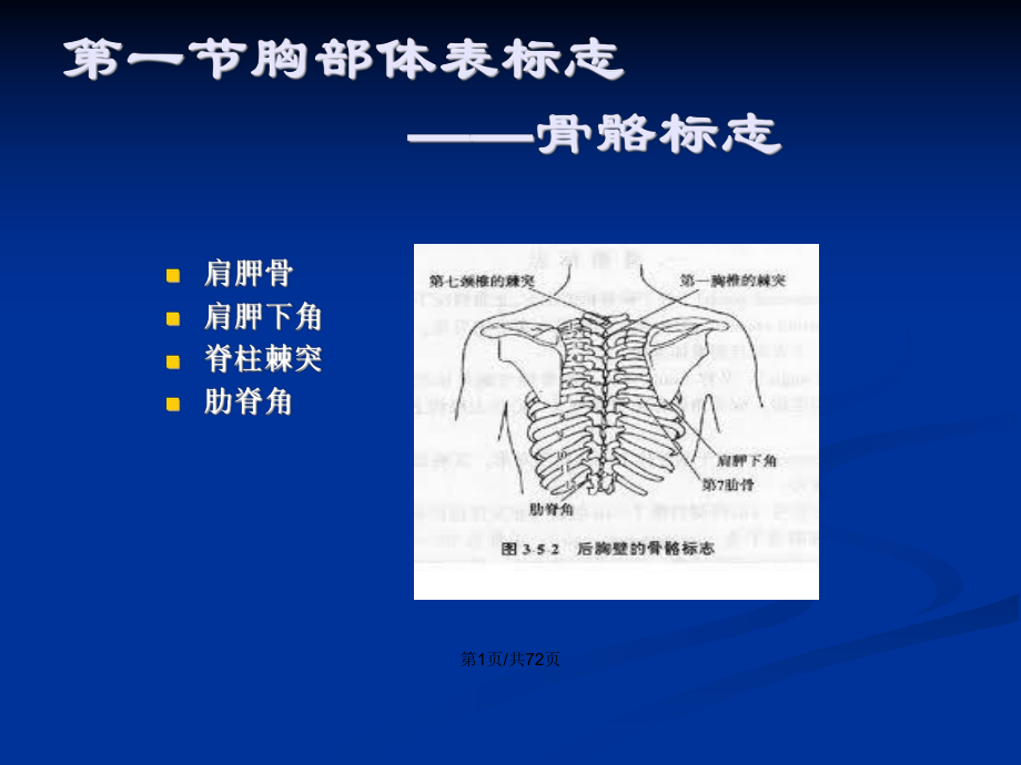 胸部檢查月日PPT學(xué)習(xí)教案_第2頁