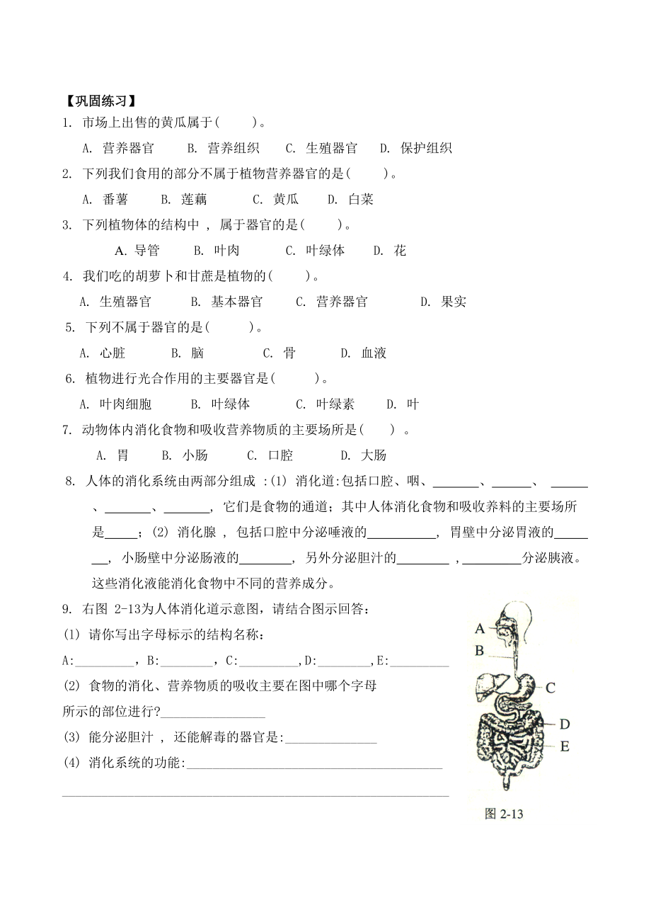 第二章第六節(jié)生物體的結構層次_第4頁