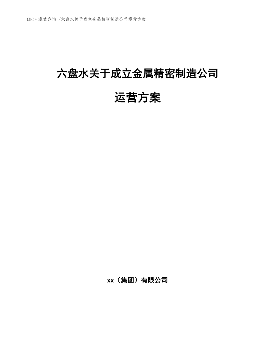 六盘水关于成立金属精密制造公司运营方案-(范文模板)_第1页