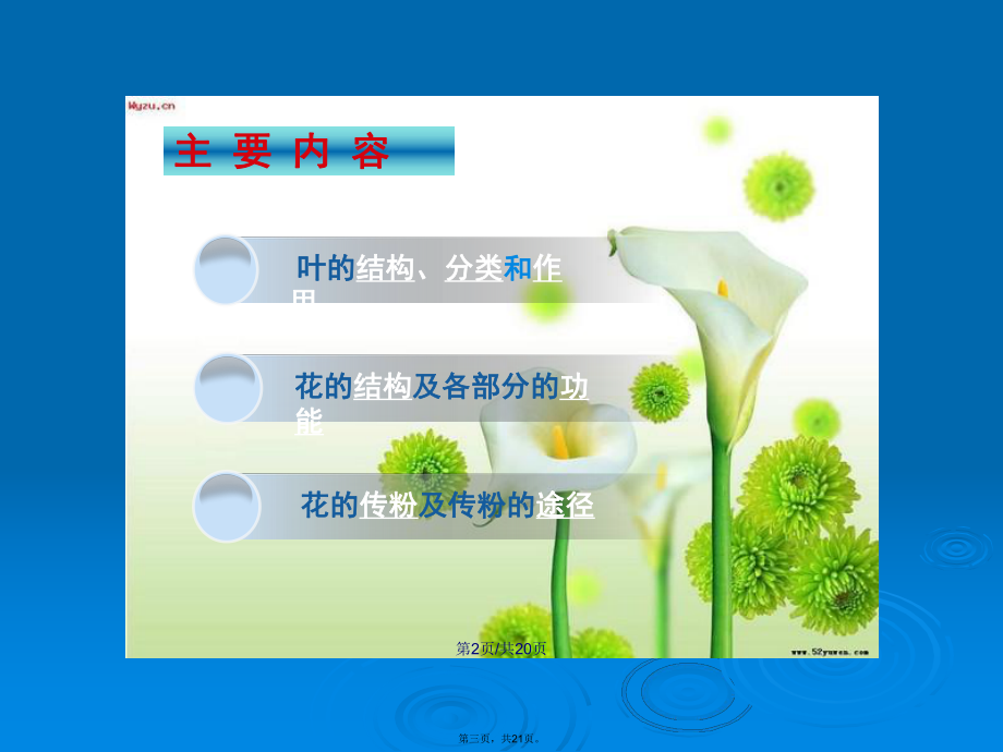 三年级科学下册叶和花学习教案_第3页