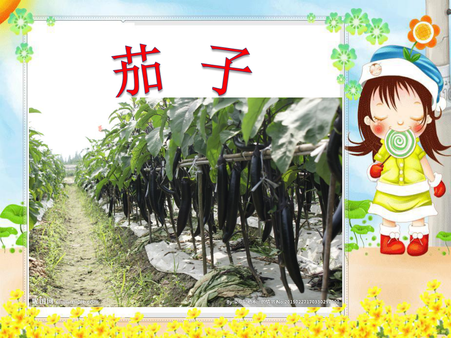 认识大自然认识各种蔬菜_第5页