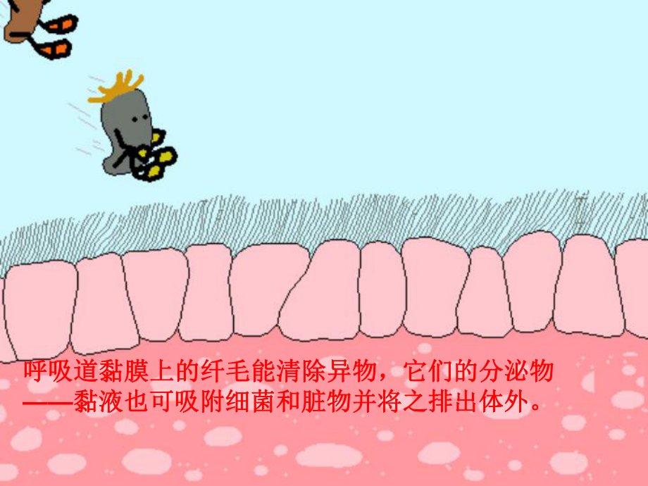 免疫和计划免疫_第5页