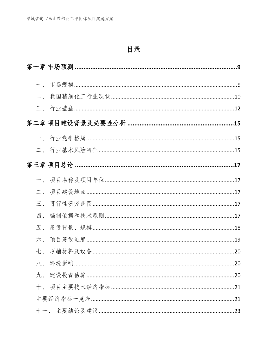 乐山精细化工中间体项目实施方案(模板参考)_第3页