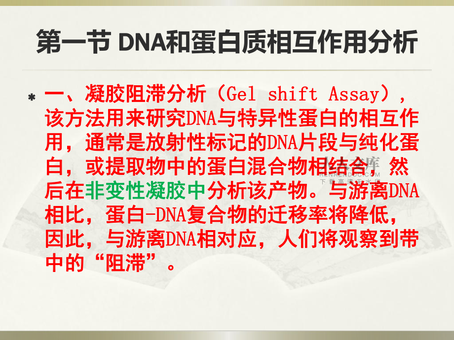 第七章基因操作中的核酸技术_第2页