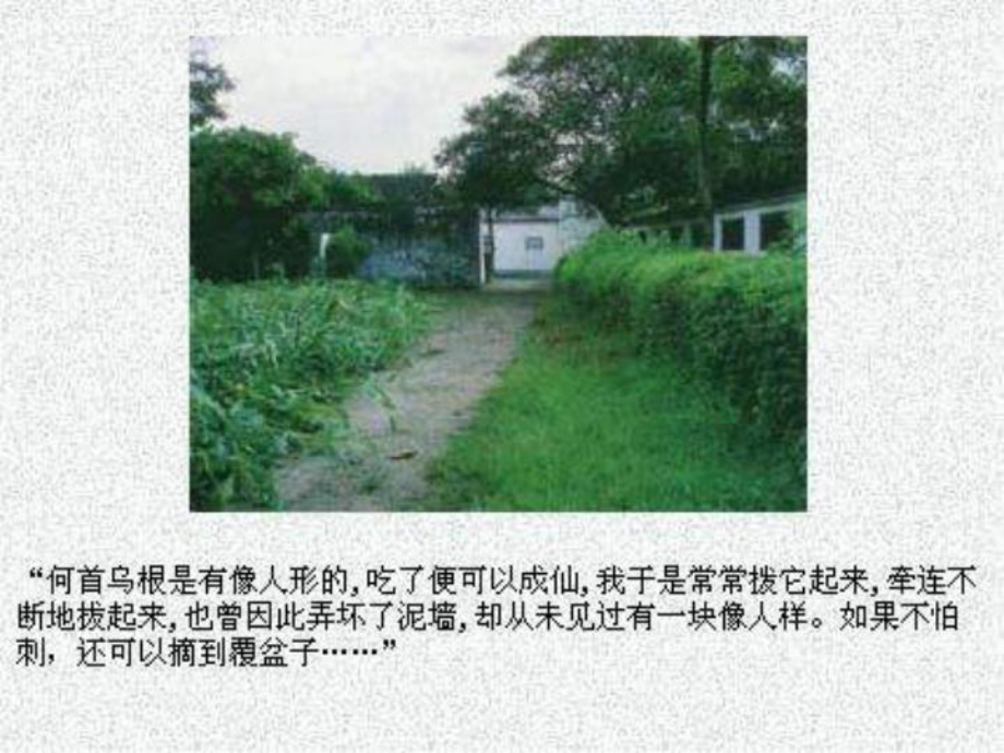 上課用從百草園到三味書屋_第5頁