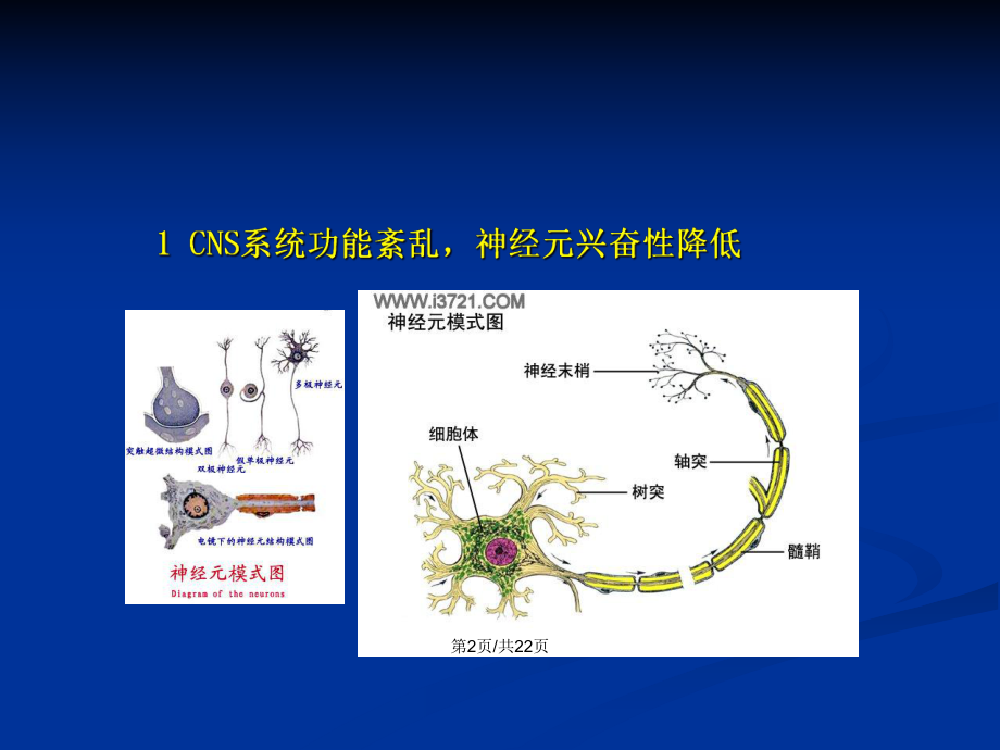 运动性疲劳课件PPT学习教案_第3页