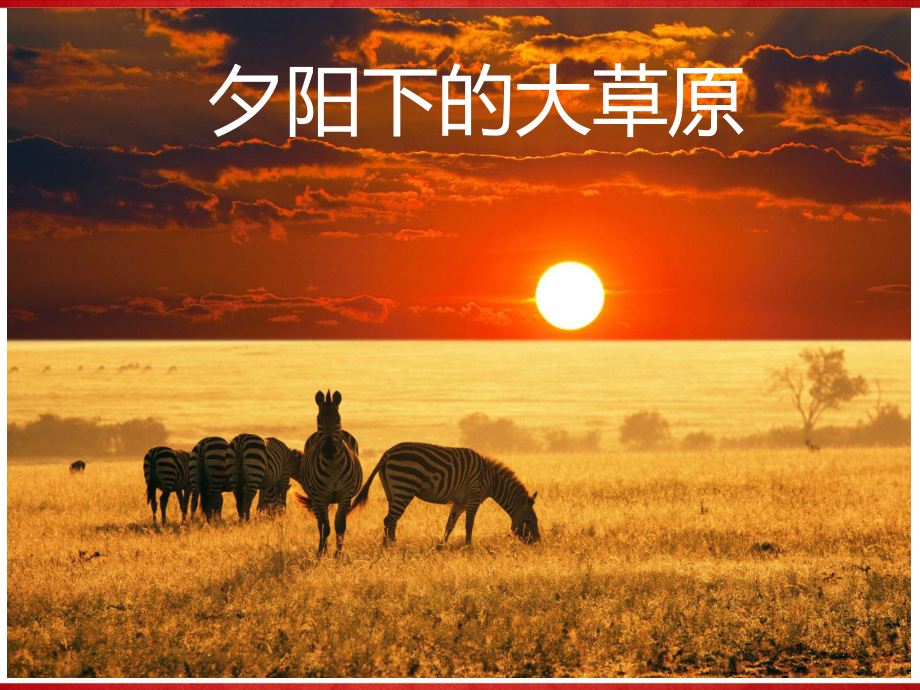 C夕陽下的大草原_第3頁
