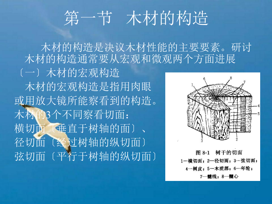 木材基本知识ppt课件_第2页