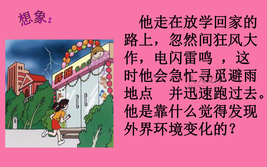 人教版七年级下册4.6.1《人体对外界环境的感知》ppt课件_第2页