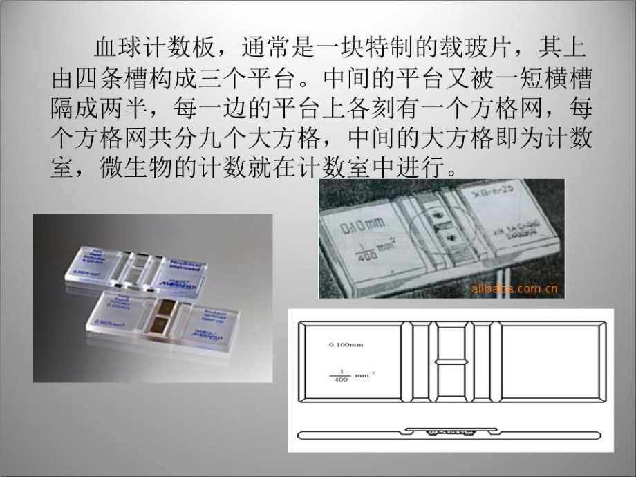 血球計(jì)數(shù)板計(jì)數(shù)法.ppt_第4頁(yè)