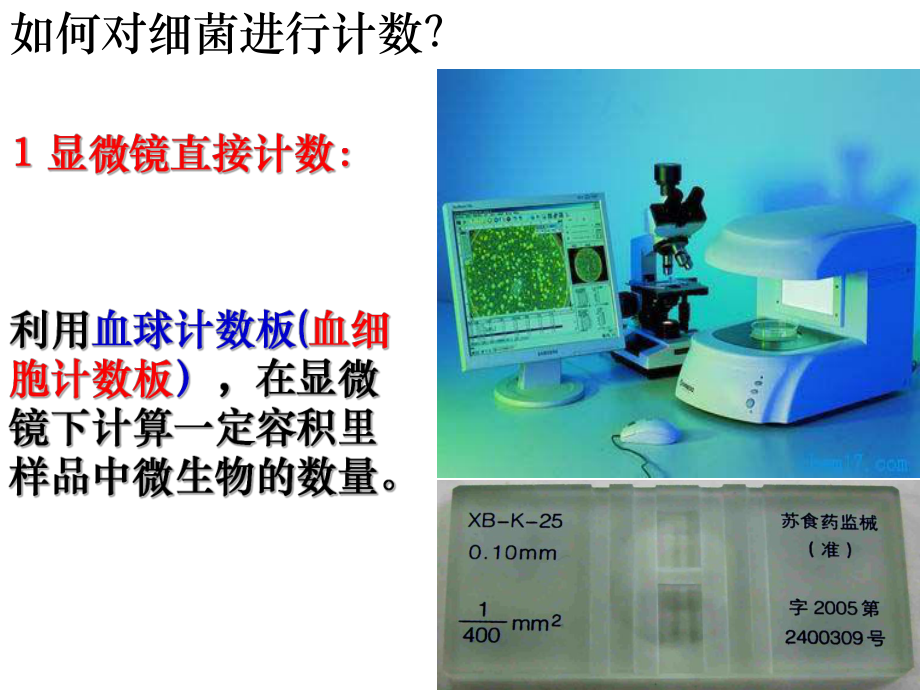 课题2-土壤中分解尿素的细菌的分离与计数培训资料_第5页