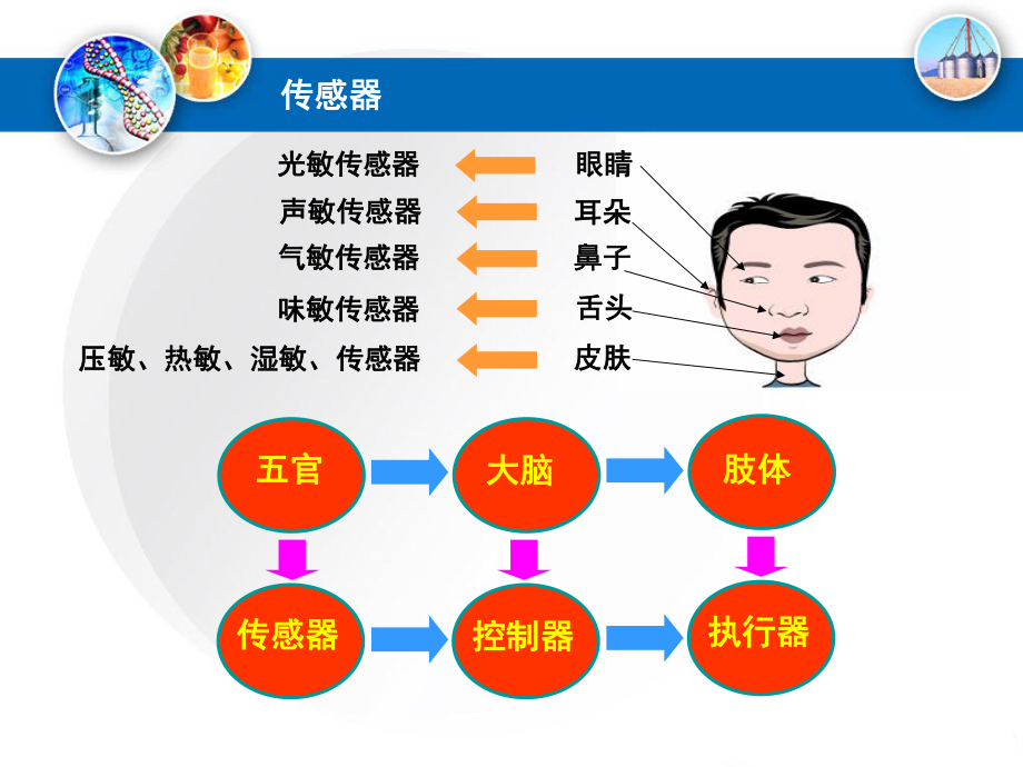 高中电子控制技术第2单元--电子控制系统信息的获取与转换_第5页