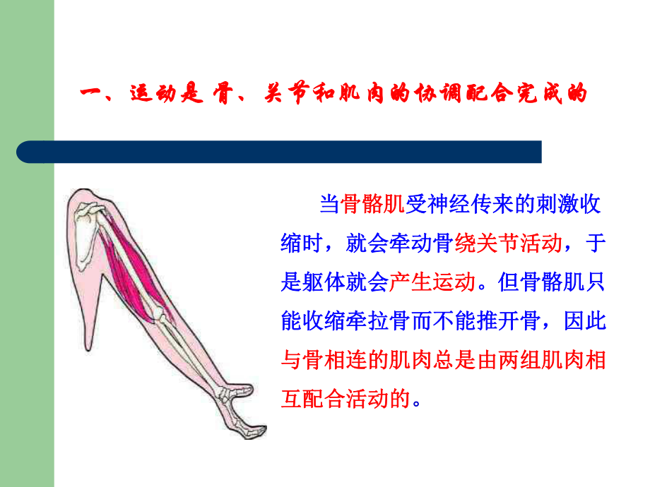 运动的完成讲课教案_第5页