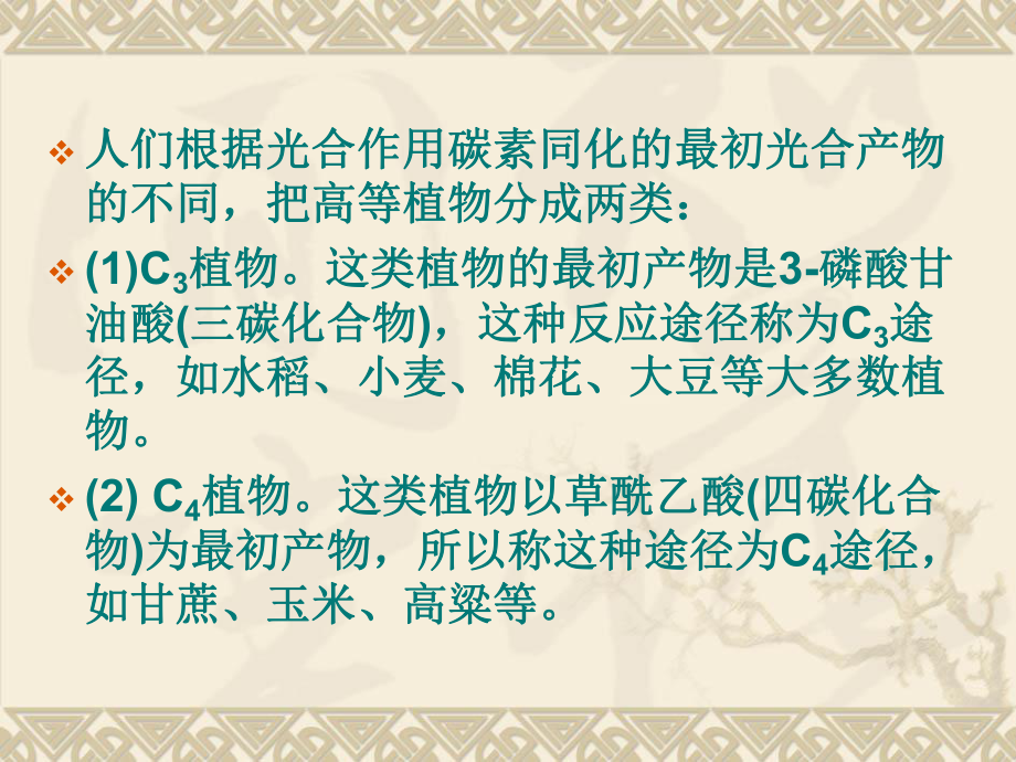 C3、C4和CAM植物的光合特性比较_第2页