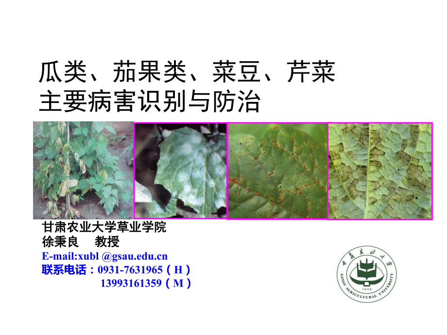 茄果类瓜豆芹菜病害_第1页