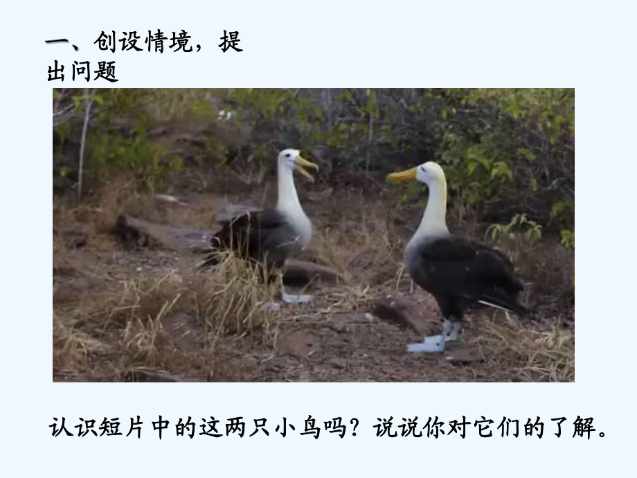 青岛版四年级下册数学第五单元认识两位小数认识三位小数报告_第2页