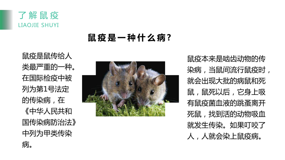 鼠疫防治科普知識(shí)輔導(dǎo)PPT講解資料_第5頁