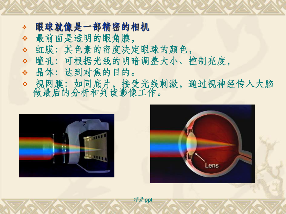兒童眼保健及常見(jiàn)眼病_第4頁(yè)