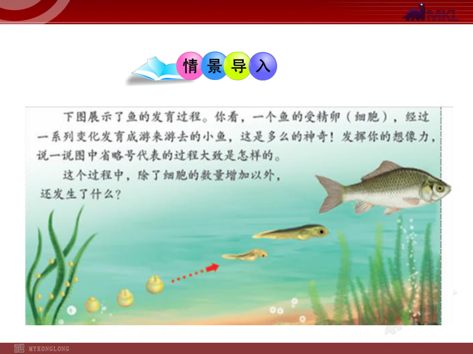 第二节动物体的结构层次_第2页