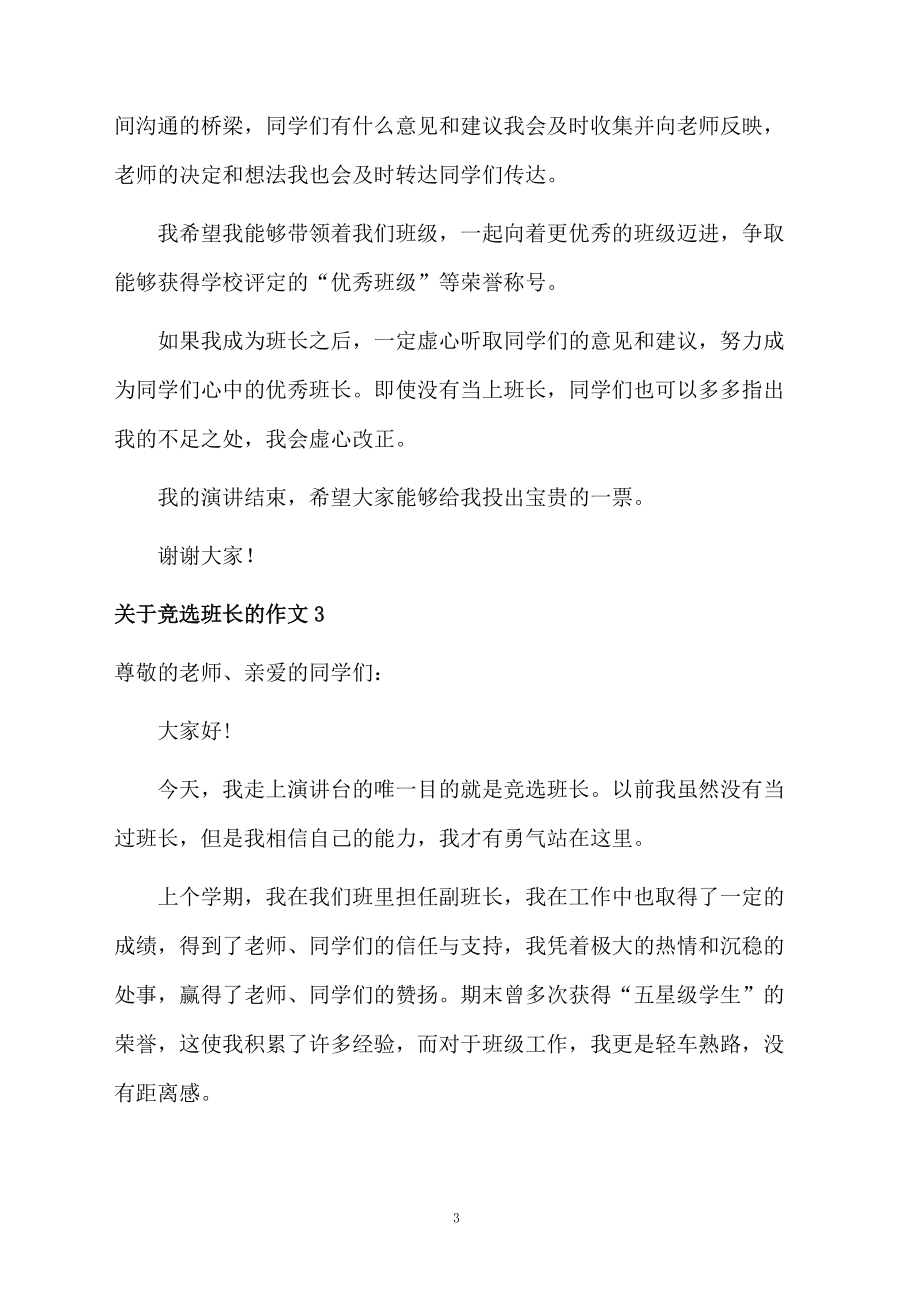 关于竞选班长的作文_第3页