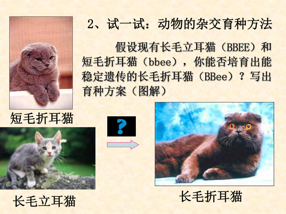 人教版高中生物必修2第六章同步教學課件6.1雜交育種與誘變育種 (共16張PPT)_第5頁