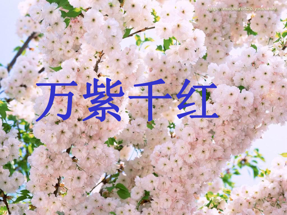 四個(gè)太陽優(yōu)秀課件_第3頁