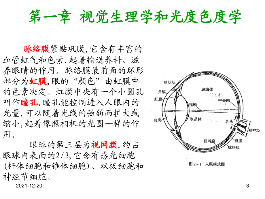 Chapter1-视觉生理学和色度学解析_第3页