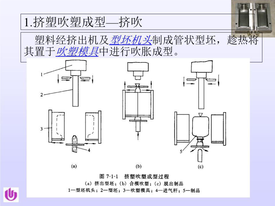 《中空吹塑成型模具》PPT課件.ppt_第3頁(yè)
