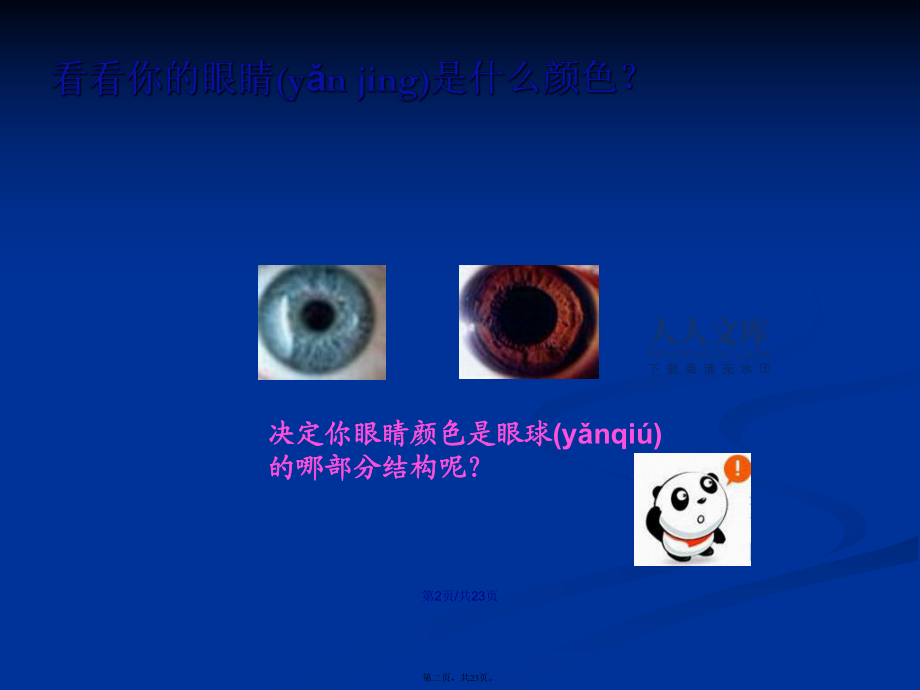 透镜和视觉-第三课时学习教案_第2页