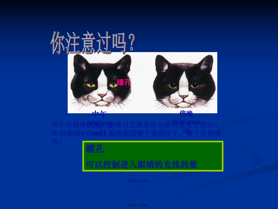 透镜和视觉-第三课时学习教案_第4页