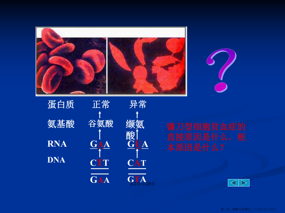 表現(xiàn)型基因型環(huán)境條件學(xué)習(xí)教案_第3頁(yè)