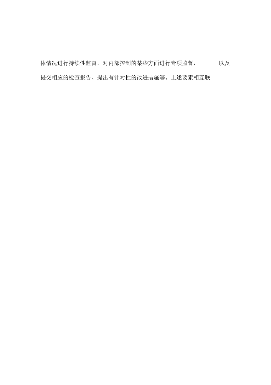 风险管理公司治理与内部控制概要_第4页